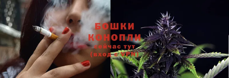 Бошки Шишки White Widow  Болохово 